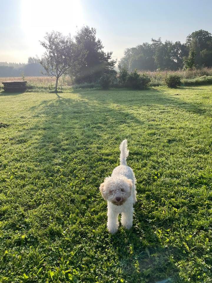 WhatsApp Image 2025-12-30 at 11.17.33 (1)