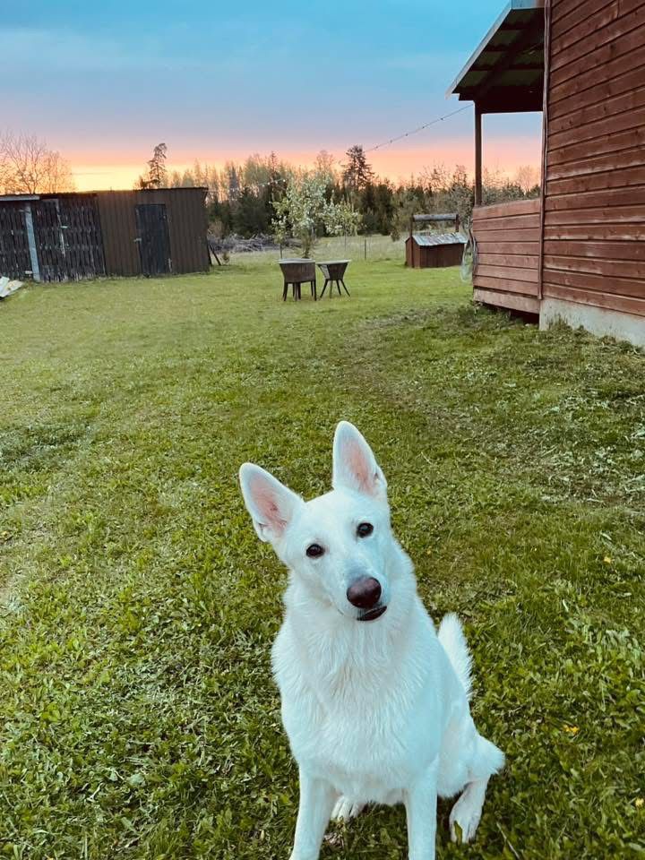 WhatsApp Image 2025-12-30 at 11.17.33 (2)