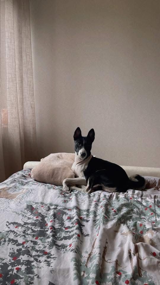 WhatsApp Image 2025-12-30 at 11.17.33