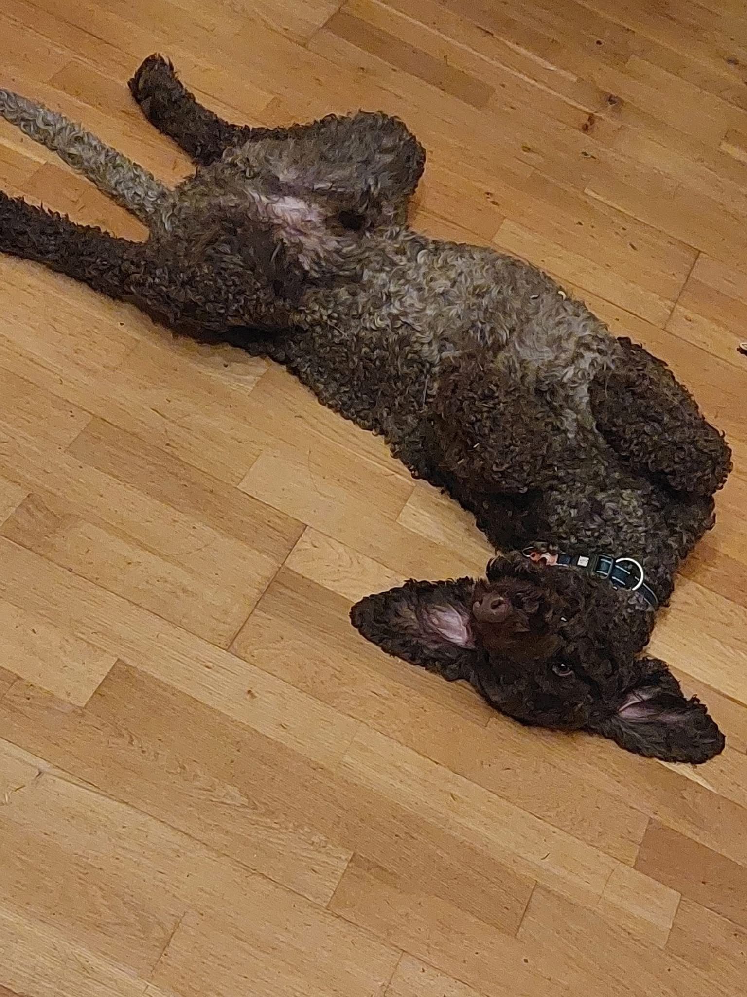 WhatsApp Image 2025-12-30 at 11.17.36 (2)