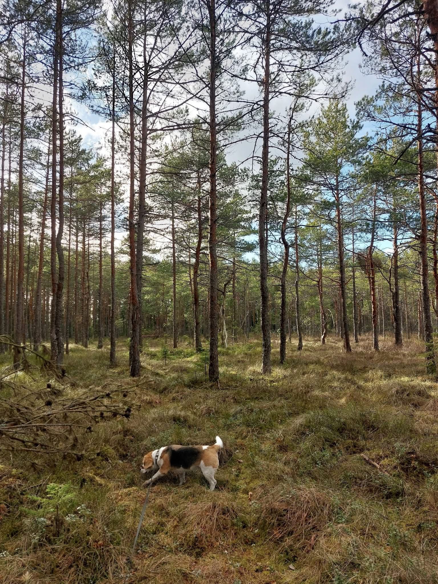 WhatsApp Image 2025-12-30 at 11.17.36