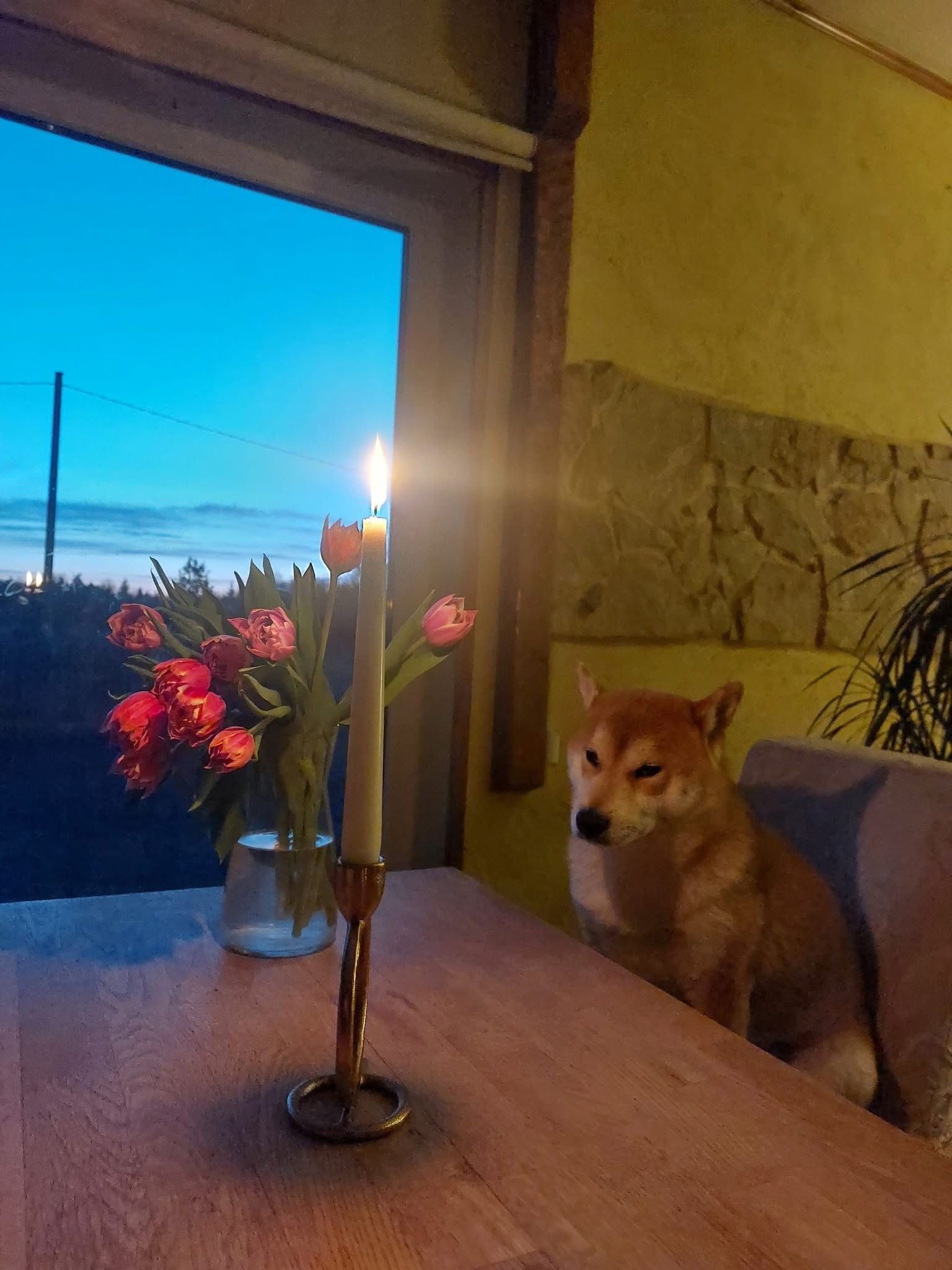 WhatsApp Image 2025-12-30 at 11.17.37 (1)