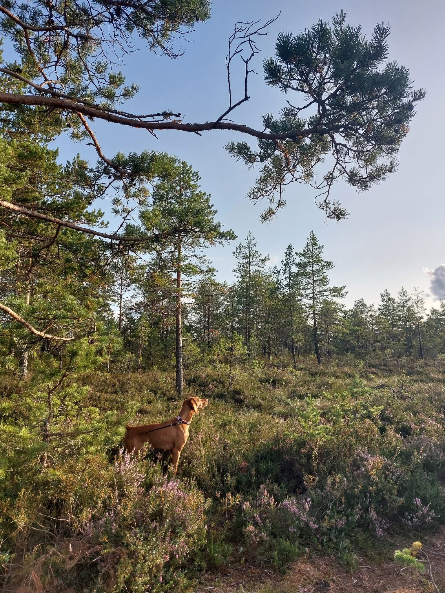 WhatsApp Image 2025-12-30 at 11.17.37 (2)