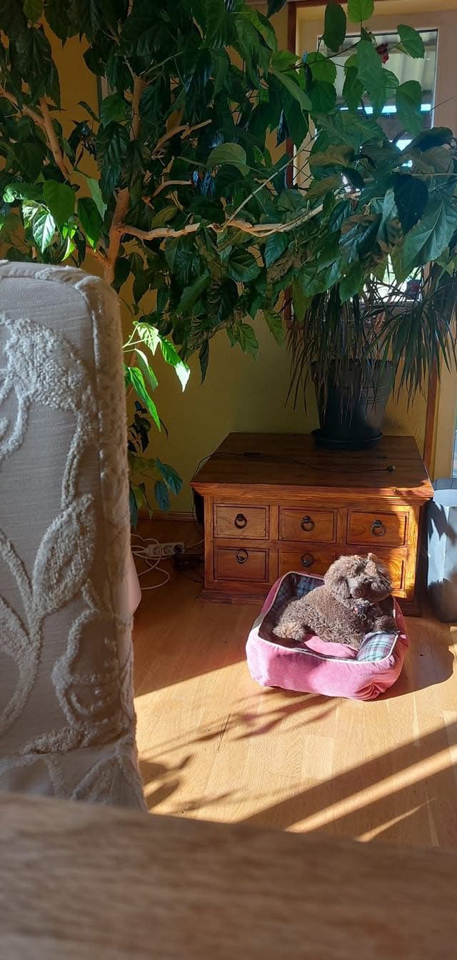 WhatsApp Image 2025-12-30 at 11.17.37