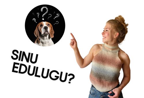 WhatsApp Image 2026-03-30 at 18.16.39